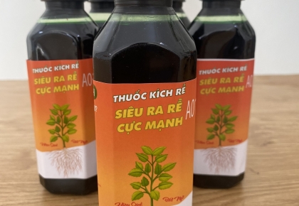 KÍCH RỄ MAI VÀNG A01 CHÍNH HÃNG 